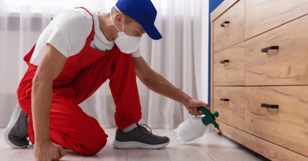 capa dedetizacao em São José dos Pinhais