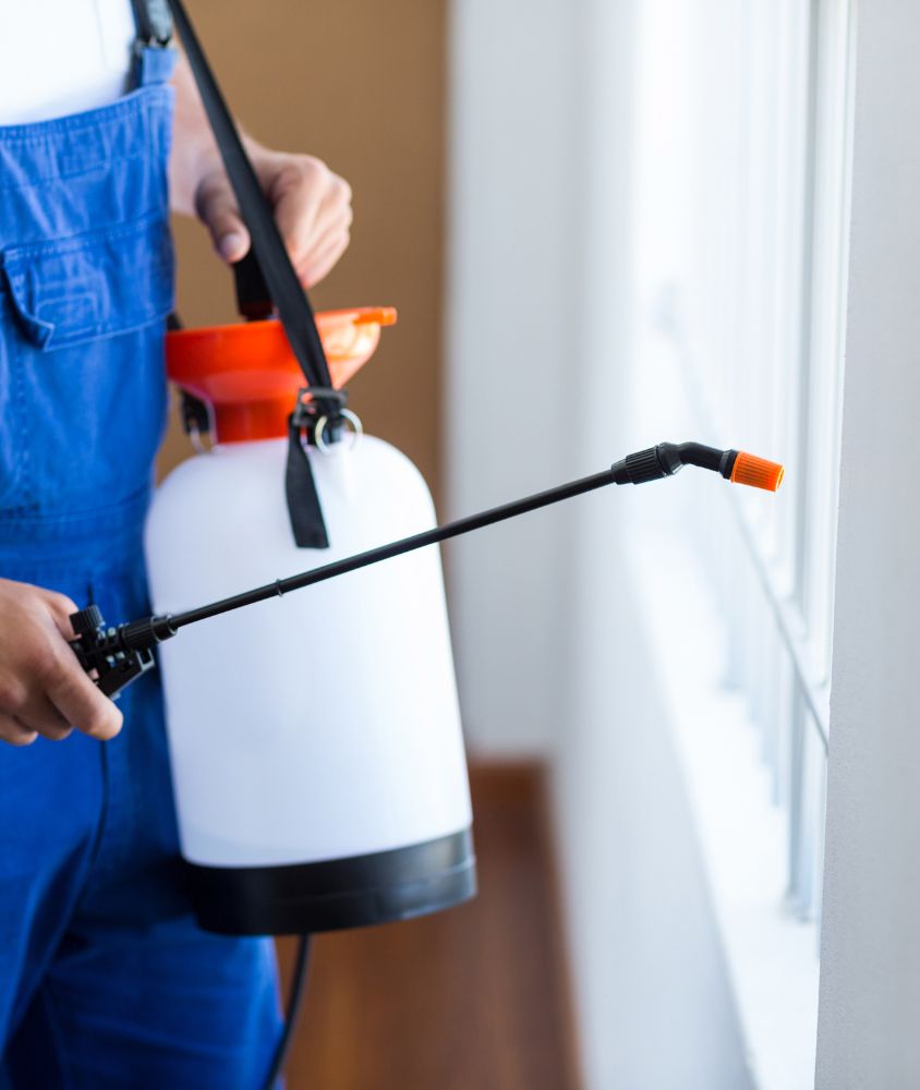 dedetizador em São José dos Pinhais